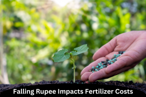 Falling Rupee Impacts Fertilizer Costs