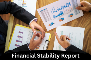 Financial Stability Report