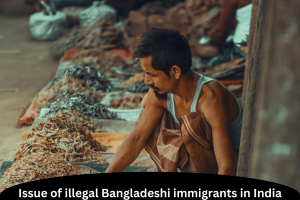 Issue of illegal Bangladeshi immigrants in India