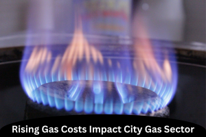 Rising Gas Costs Impact City Gas Sector