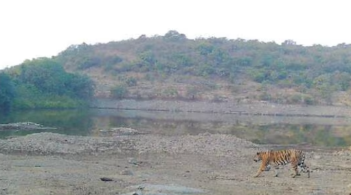 Tipeshwar Wildlife Sanctuary