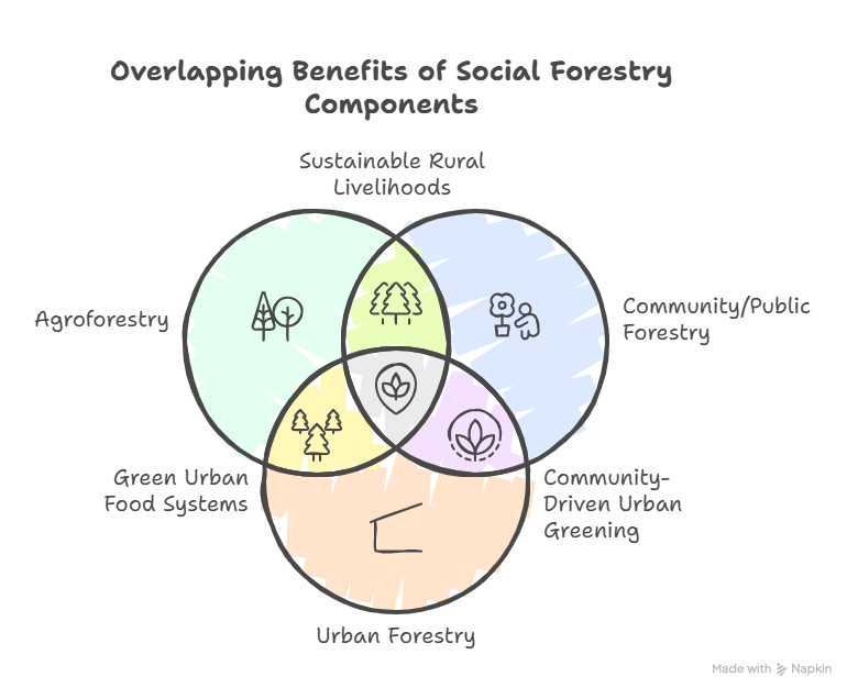 Components of Social Forestry